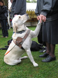 Photo: La confiance entre matre et chien