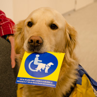 Photo: Le chien d'assistance d'Anne-Marie Ternes tient le nouvel autocollant dans son museau.