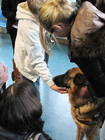 Photo: Les lves se lient d'amiti avec la chienne guide Clochette.