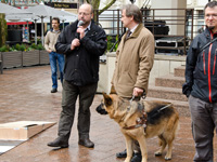 Foto: Raymond Ney, Direktor der Fhrhundschule, prsentiert seine Hunde.