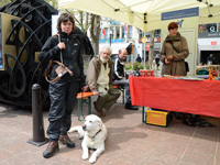 Photo: Josiane Rommes et chien guide Urak jouissent du soleil devant notre stand.