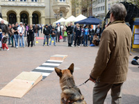 Photo: La manifestation a eu du succs.