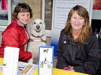 Photo: Chien guide Urak se montre curieux.