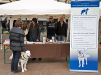 Notre stand d'information