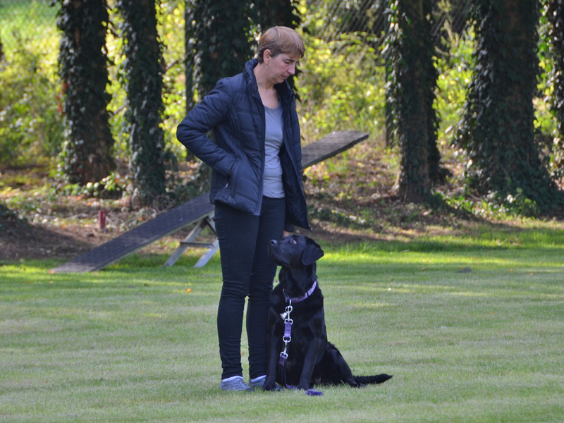 Rene und Fhrhund Guiness machen sich fertig