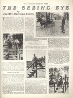 Photo: article page
