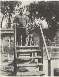 Photo: blind person with guide dog on stairs