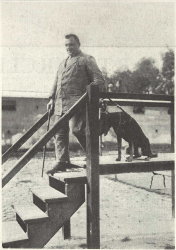 Photo: blind person with guide dog on stairs