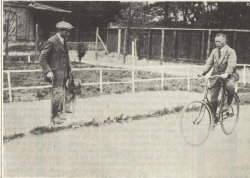 Photo: guide dog stops blind man before bicycle