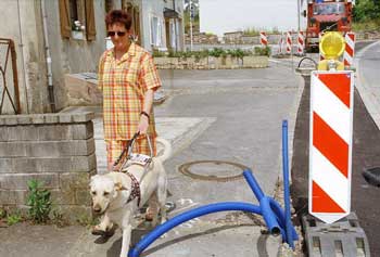 Bildbeschreibung: Christiane und Fhrhund Xeryus umgehen ein Hindernis