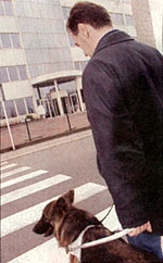 Description d'image: Roland Welter et sa chienne guide Orphe traversent une rue