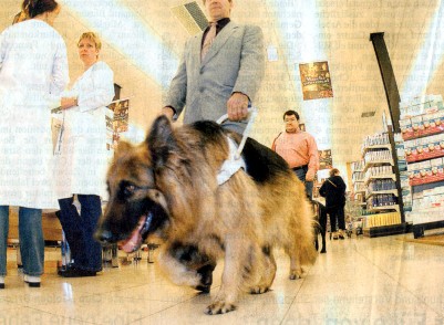 Foto: Fhrhund und Meister gehen zwischen den Warenregalen