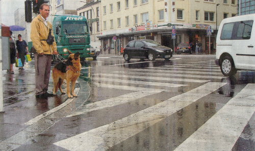 Foto: Roland Welter mit Fhrhndin Clochette bei einer Fugngerampel.